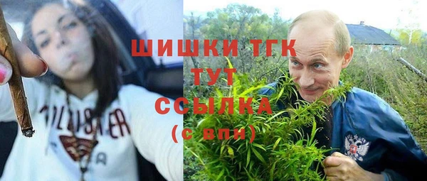 бошки Касимов